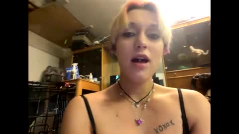 Snapshot of shelbybaby01 chatting on December 29, 2024, 1:49 pm Shelby holes online show from December 29, 2024, 1:49 pm