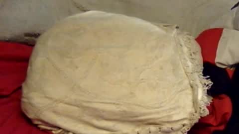 Snapshot of sherbearxrayghost chatting on June 15, 2026, 1:57 pm sherbearxrayghost online show from June 15, 2026, 1:57 pm