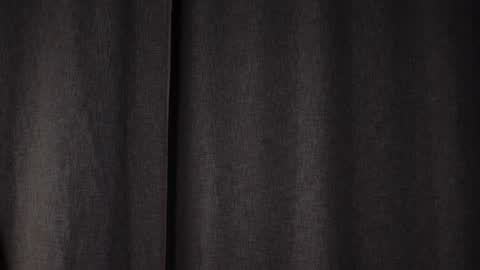 Snapshot of shickshackshock chatting on January 31, 2025, 8:22 pm Iris online show from January 31, 2025, 8:22 pm