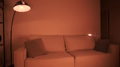 Snapshot of shiningstarrr chatting on January 21, 2025, 4:58 pm Nika online show from January 21, 2025, 4:58 pm