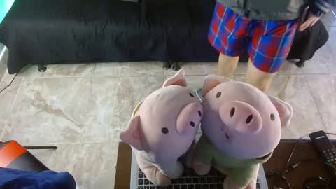  .. shinobi .. online show from January 24, 2025, 3:55 pm