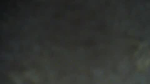 shinshin1177 online show from July 3, 2026, 7:53 pm