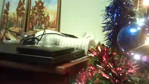 shirogane2004 online show from January 9, 2026, 7:15 pm