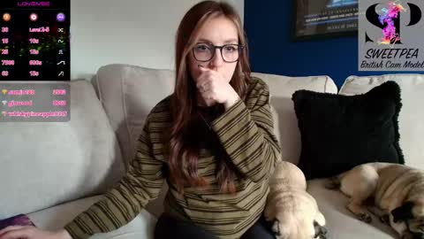 short sweetpea online show from November 13, 2025, 1:32 pm