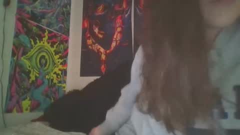 RBXs Princess online show from December 18, 2024, 3:47 am