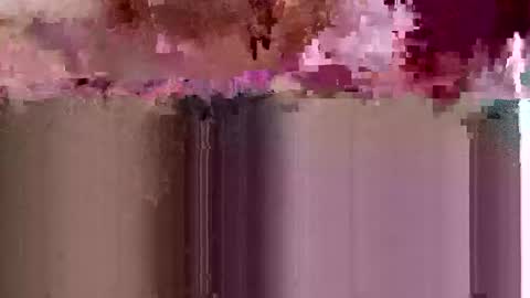 sigmaelixer online show from May 17, 2026, 6:37 pm
