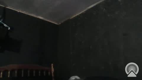 Cdub625 online show from December 29, 2024, 4:40 pm