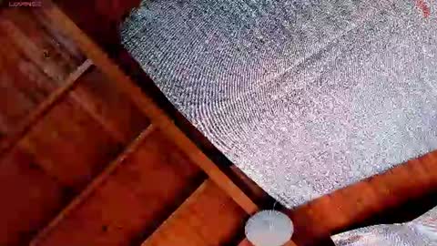Snapshot of silvabranko chatting on July 19, 2026, 3:05 pm silvabranko online show from July 19, 2026, 3:05 pm