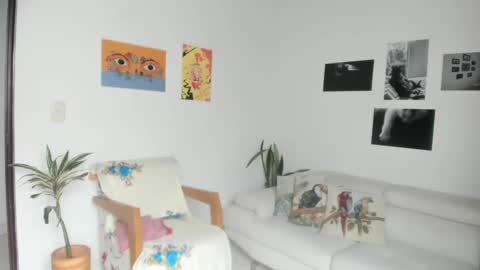 Sim. online show from December 16, 2024, 7:54 pm