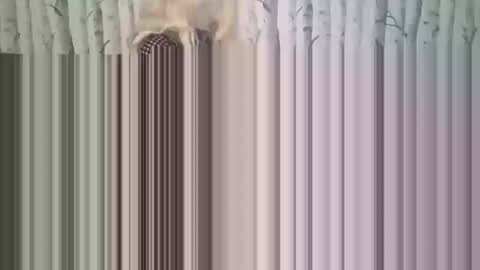 simontupin1973 online show from December 17, 2025, 1:33 am