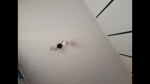 Snapshot of simpledi chatting on March 10, 2025, 7:42 am simpledi online show from March 10, 2025, 7:42 am