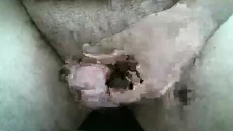 HardNSouthern online show from March 9, 2026, 12:09 pm