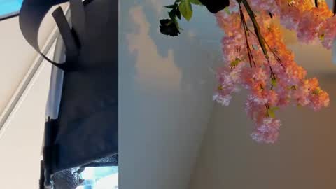 Siouxsie online show from June 24, 2026, 11:09 am