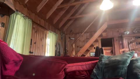 Snapshot of sirbubblesworth chatting on January 10, 2025, 9:42 pm sirbubblesworth online show from January 10, 2025, 9:42 pm