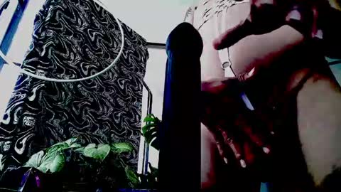 siren ika666 online show from May 4, 2026, 5:53 pm