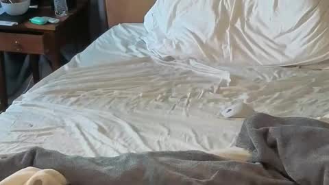 Sissy Submissive online show from April 18, 2026, 12:03 am