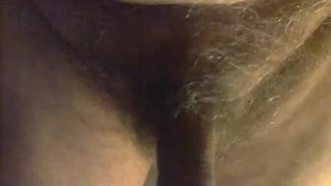 Snapshot of sjim368 chatting on October 31, 2025, 12:28 pm sjim368 online show from October 31, 2025, 12:28 pm