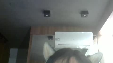 skinnykittencam online show from February 28, 2026, 3:29 am