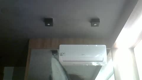 skinnykittencam online show from March 17, 2026, 1:10 am