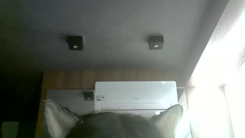 skinnykittencam online show from June 1, 2026, 4:20 pm