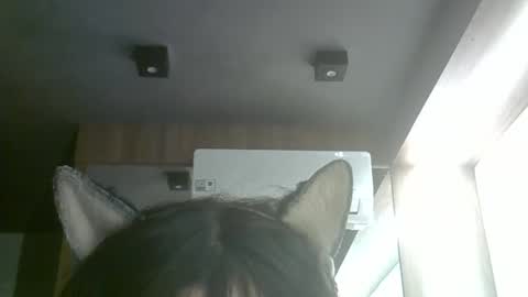 skinnykittencam online show from June 5, 2026, 3:51 pm