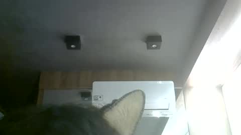 skinnykittencam online show from June 6, 2026, 9:30 pm