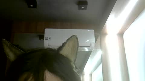 skinnykittencam online show from June 7, 2026, 5:38 pm