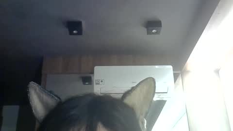 skinnykittencam online show from June 9, 2026, 9:32 am