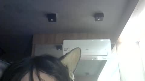 skinnykittencam online show from June 11, 2026, 12:54 am