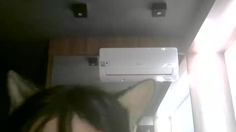 skinnykittencam online show from June 11, 2026, 2:53 am