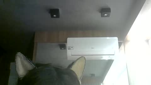 skinnykittencam online show from June 11, 2026, 8:07 pm