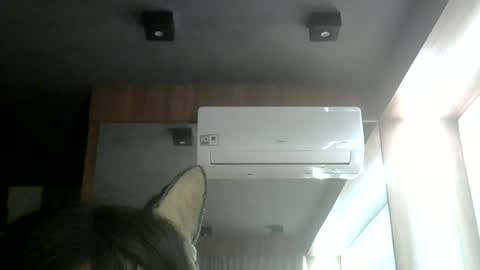 skinnykittencam online show from June 12, 2026, 11:35 pm