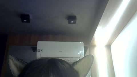 skinnykittencam online show from June 16, 2026, 8:50 am