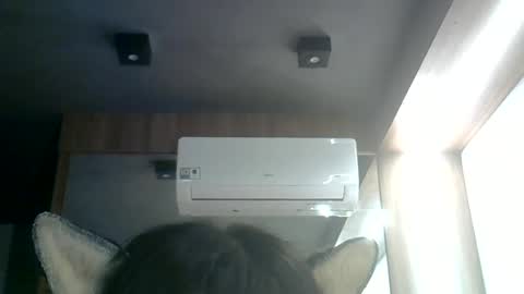 skinnykittencam online show from June 17, 2026, 12:02 am