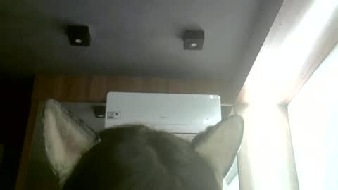 skinnykittencam online show from June 22, 2026, 3:25 am