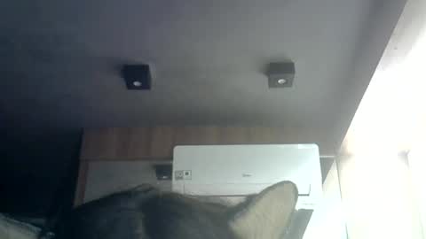 skinnykittencam online show from June 23, 2026, 1:36 am
