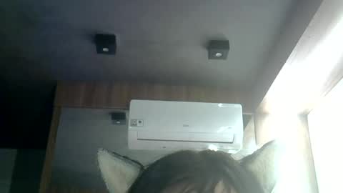 skinnykittencam online show from June 25, 2026, 3:39 am