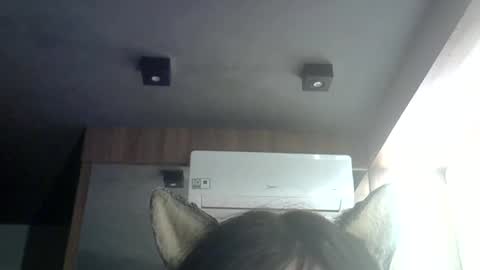 skinnykittencam online show from June 25, 2026, 5:12 am