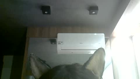 skinnykittencam online show from June 28, 2026, 1:28 pm