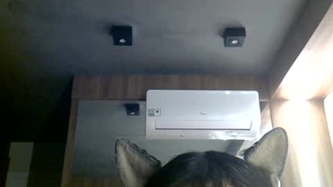 skinnykittencam online show from June 29, 2026, 10:48 am