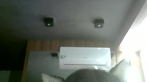 skinnykittencam online show from July 2, 2026, 5:24 am
