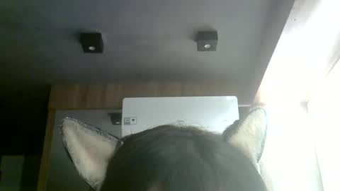 skinnykittencam online show from July 4, 2026, 5:35 am