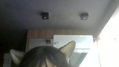 skinnykittencam online show from July 7, 2026, 6:47 am