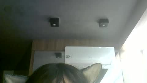 skinnykittencam online show from July 7, 2026, 7:34 am