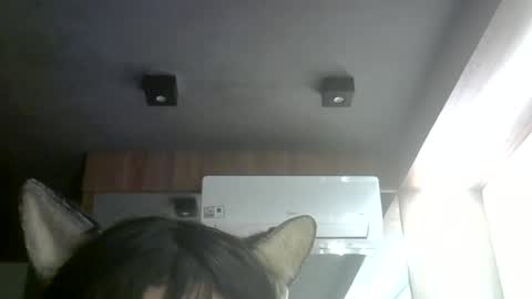skinnykittencam online show from July 8, 2026, 9:03 am