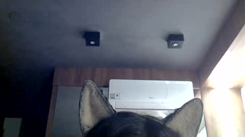 skinnykittencam online show from July 12, 2026, 7:43 am
