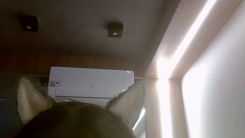 skinnykittencam online show from July 16, 2026, 5:52 pm