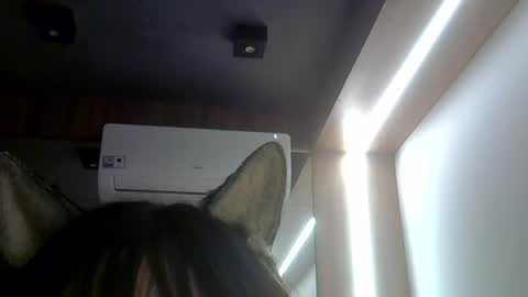 skinnykittencam online show from July 23, 2026, 2:09 am