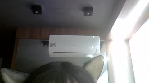 skinnykittencam online show from July 24, 2026, 5:22 pm