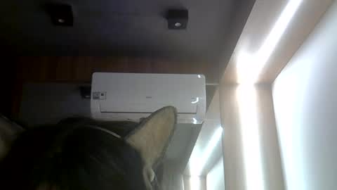 skinnykittencam online show from July 26, 2026, 2:46 pm